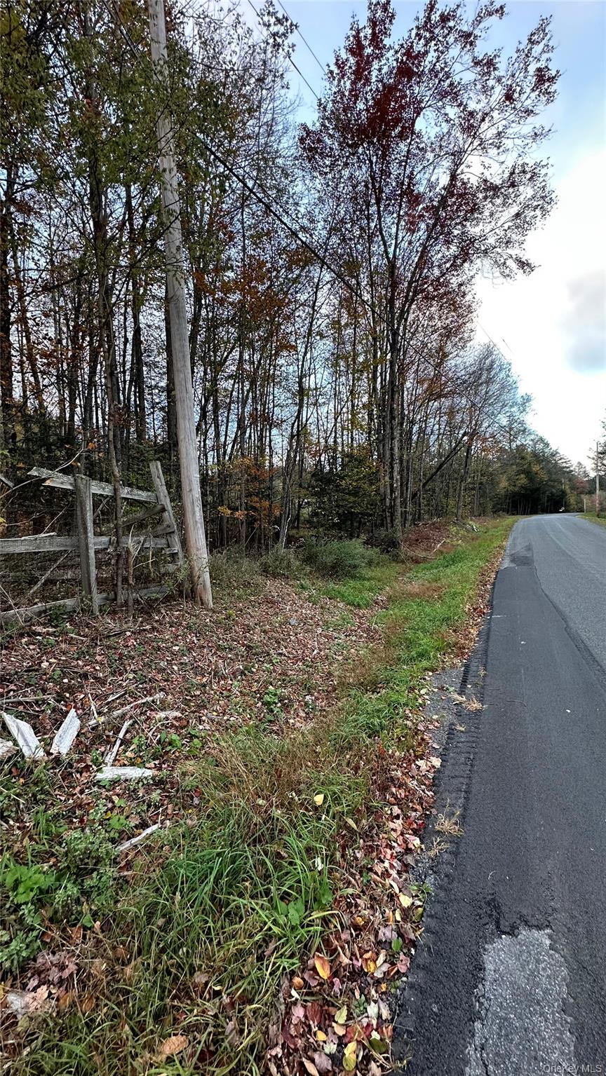 #3 photo, TBD Hysana Road, Fallsburg , NY 12733