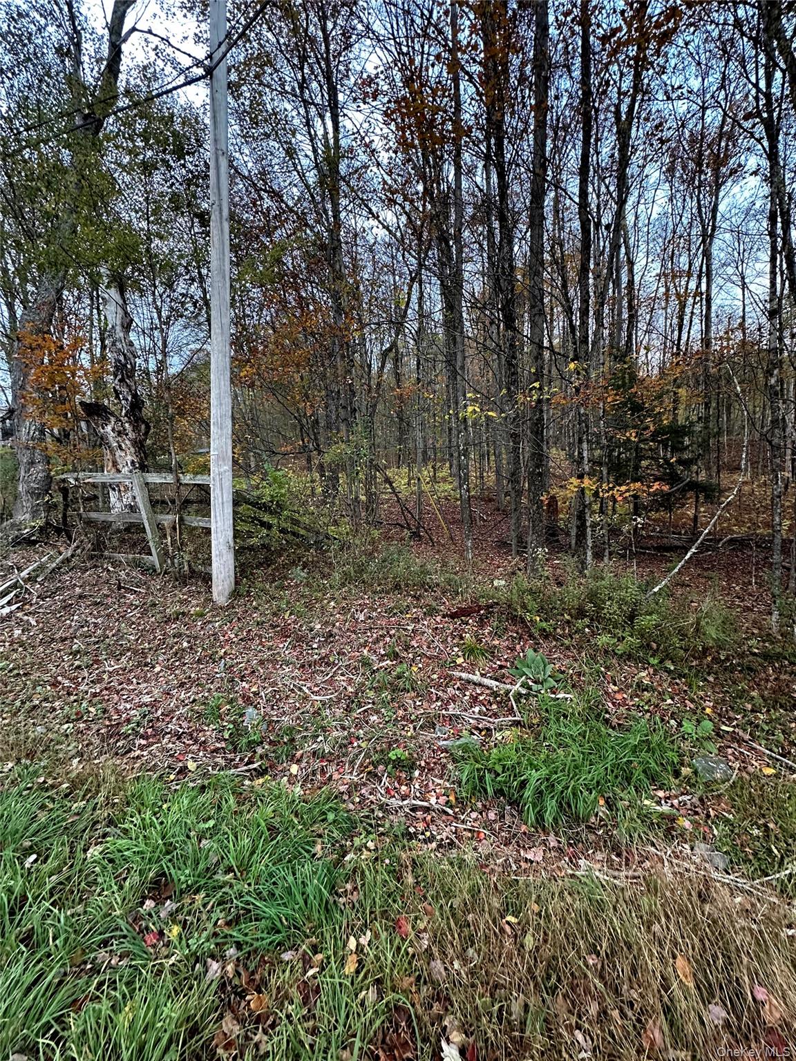 #4 photo, TBD Hysana Road, Fallsburg , NY 12733