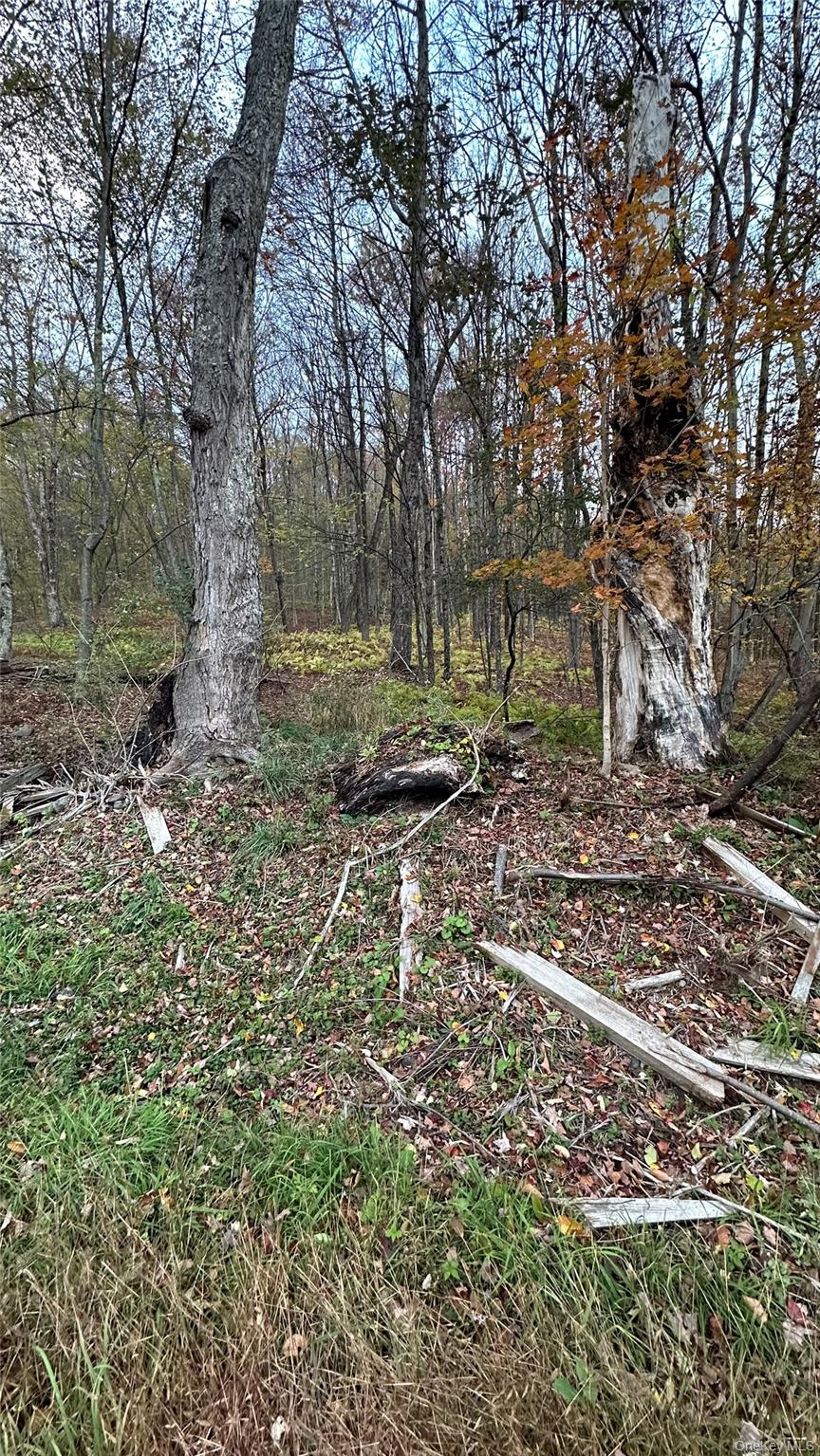 #5 photo, TBD Hysana Road, Fallsburg , NY 12733