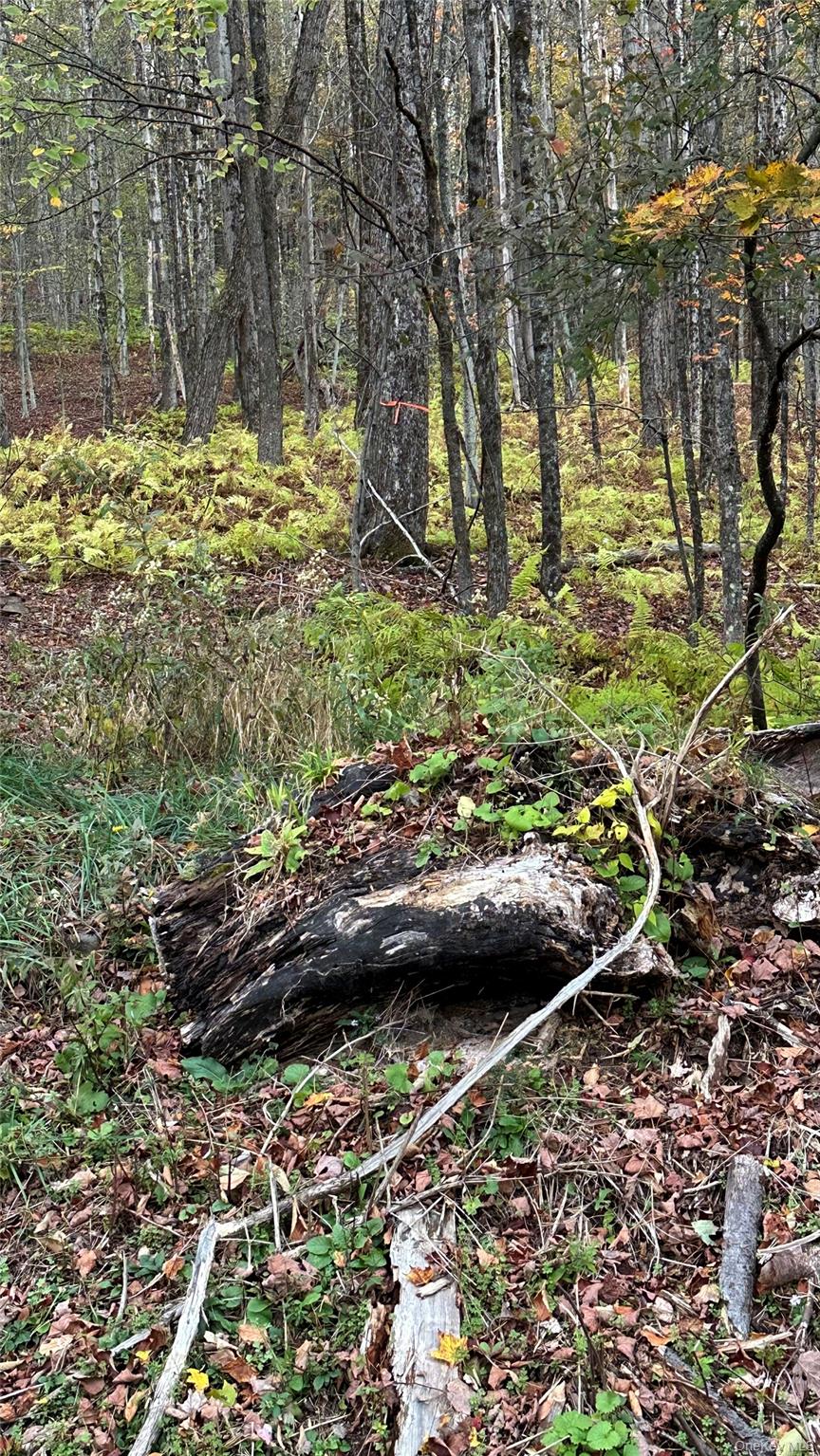 #6 photo, TBD Hysana Road, Fallsburg , NY 12733