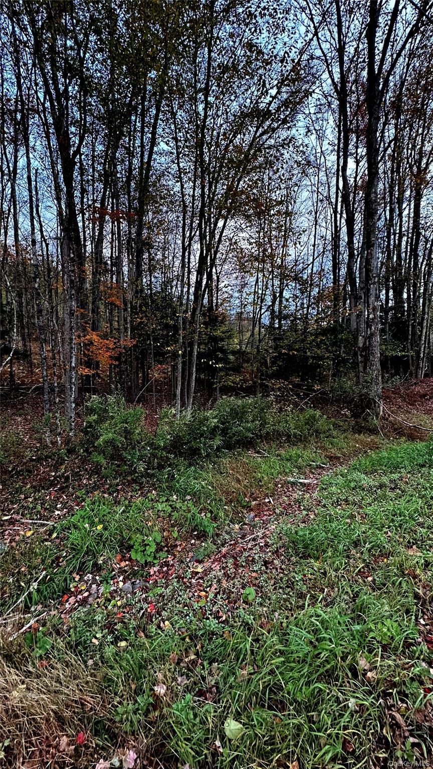 #7 photo, TBD Hysana Road, Fallsburg , NY 12733