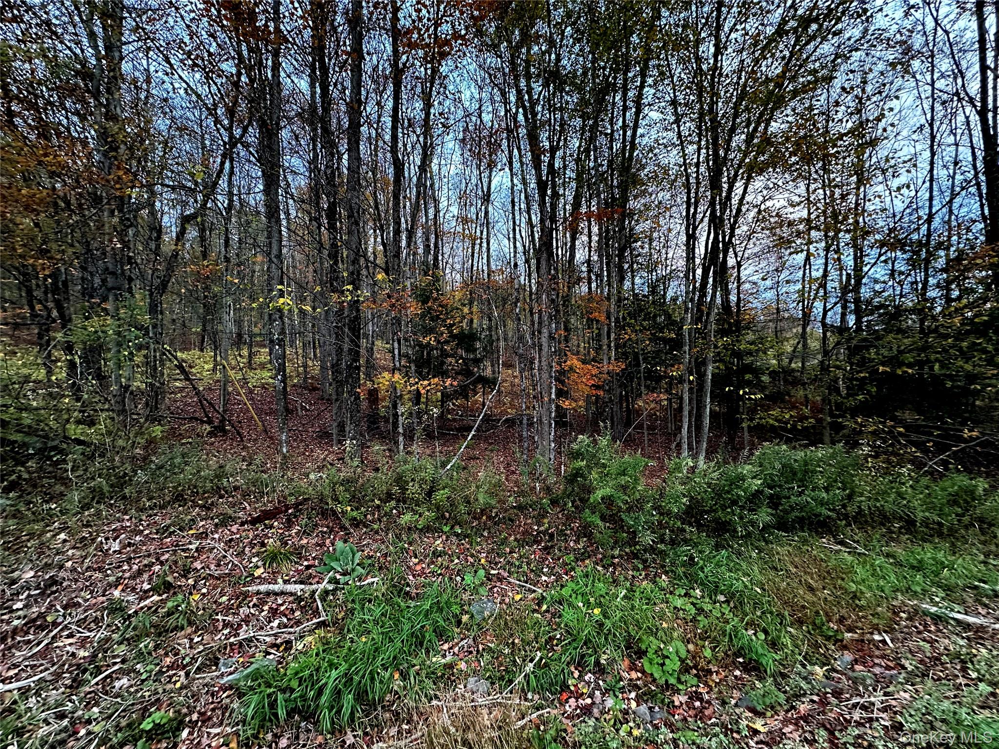 #8 photo, TBD Hysana Road, Fallsburg , NY 12733