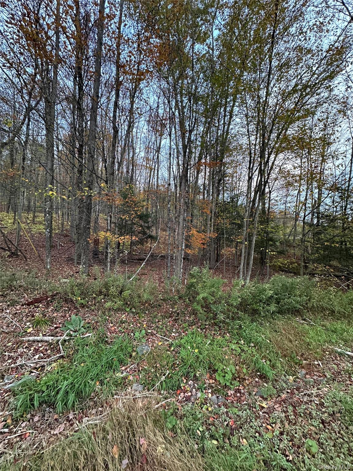 #9 photo, TBD Hysana Road, Fallsburg , NY 12733