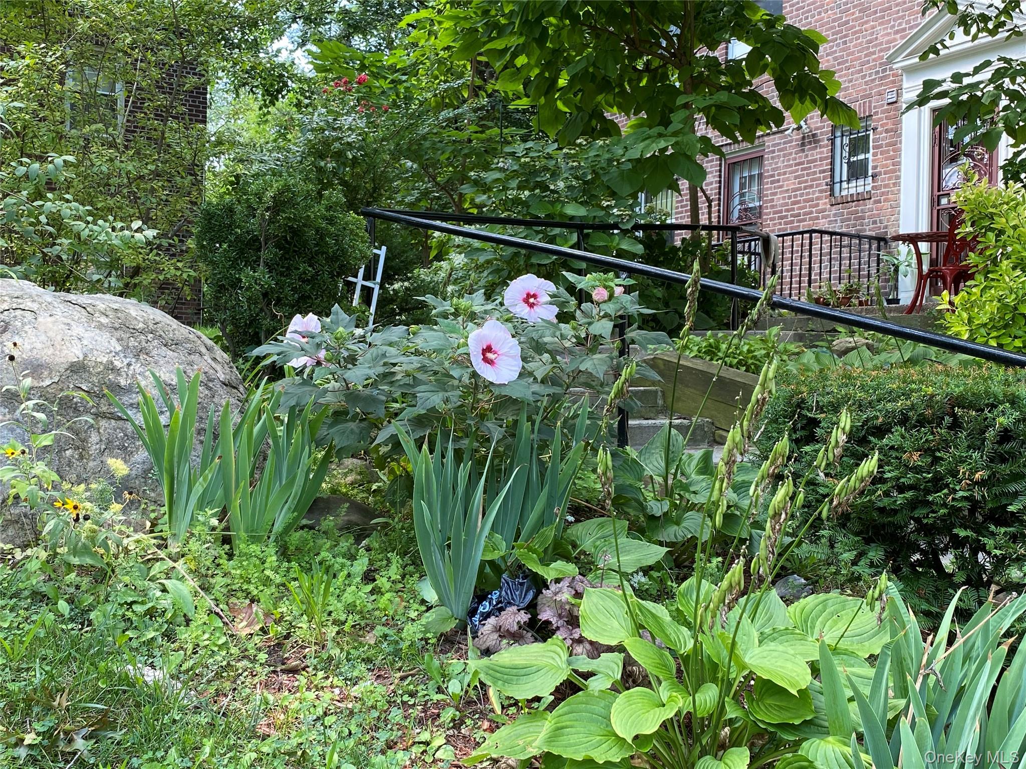 #17 photo, 147-36 Charter Road, クイーンズ区 Kew Garden Hills , NY 11435