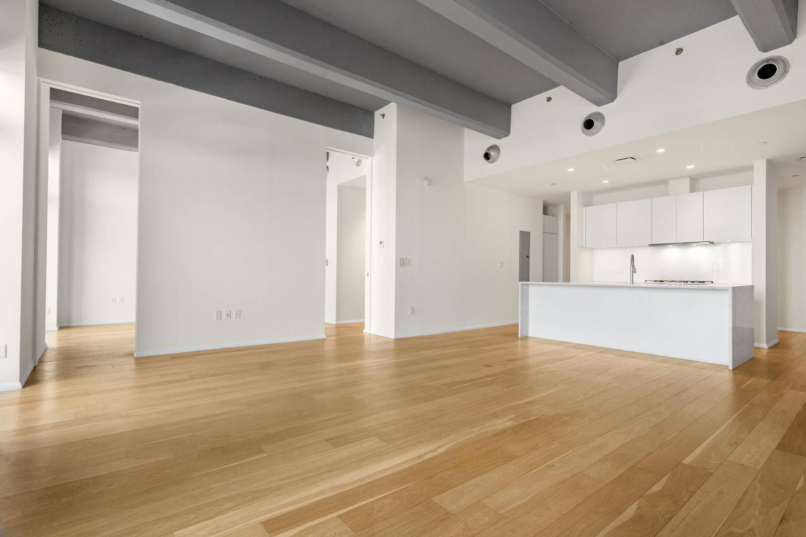 #14 photo, 160 Imlay Street, #3B2, ブルックリン区 Red Hook , NY 11231