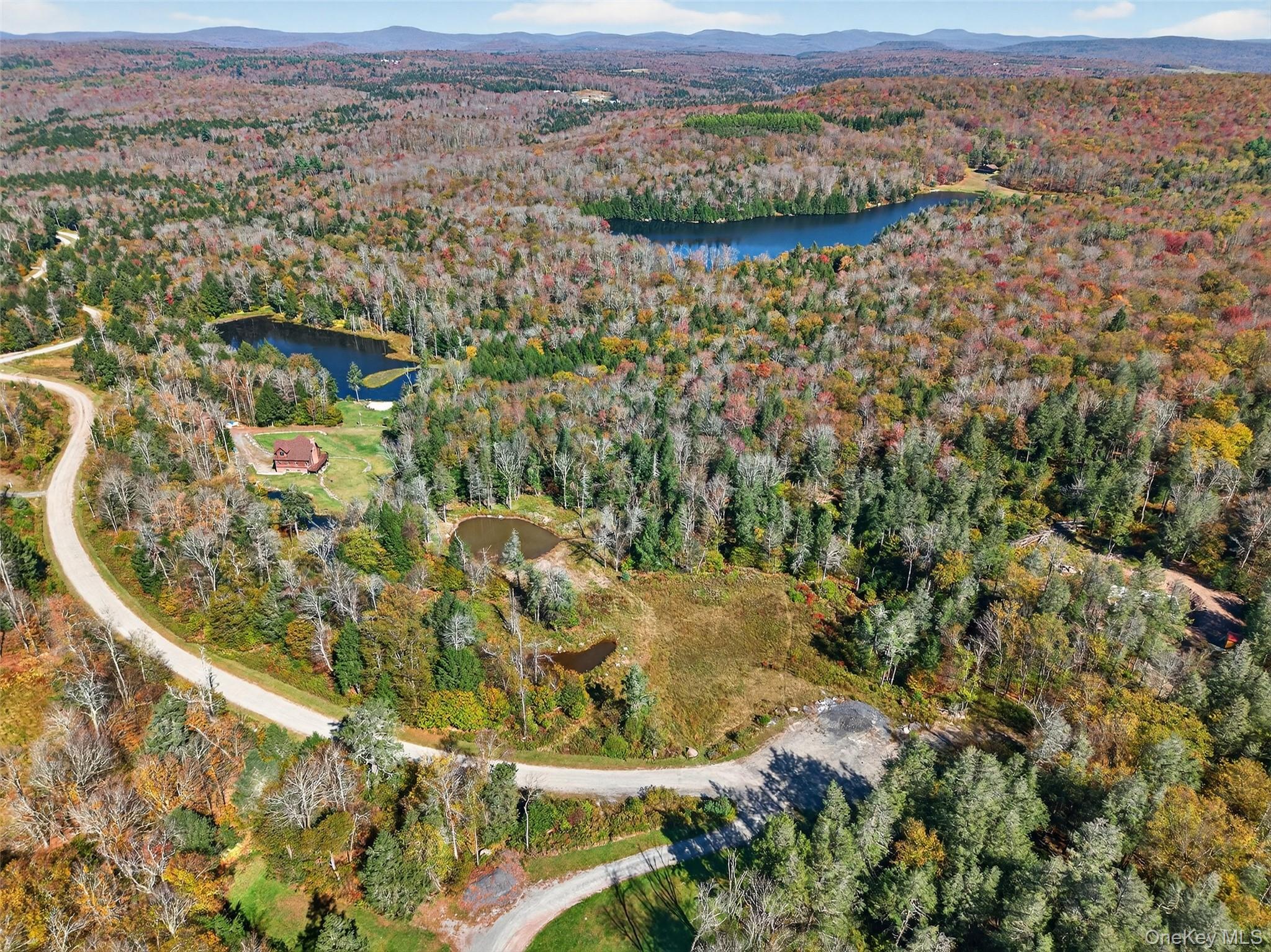 #1 photo, TBD Black Bear Crossing, Parksville , NY 12768