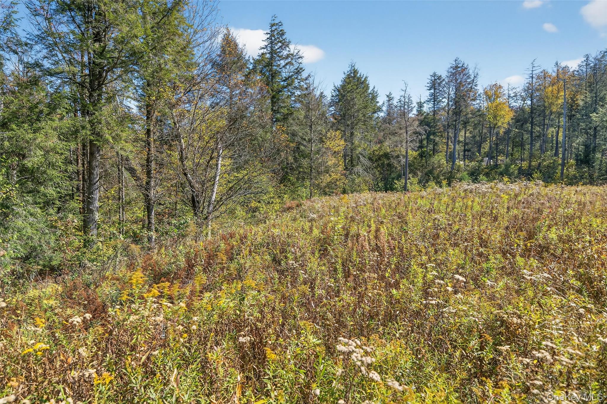 #10 photo, TBD Black Bear Crossing, Parksville , NY 12768