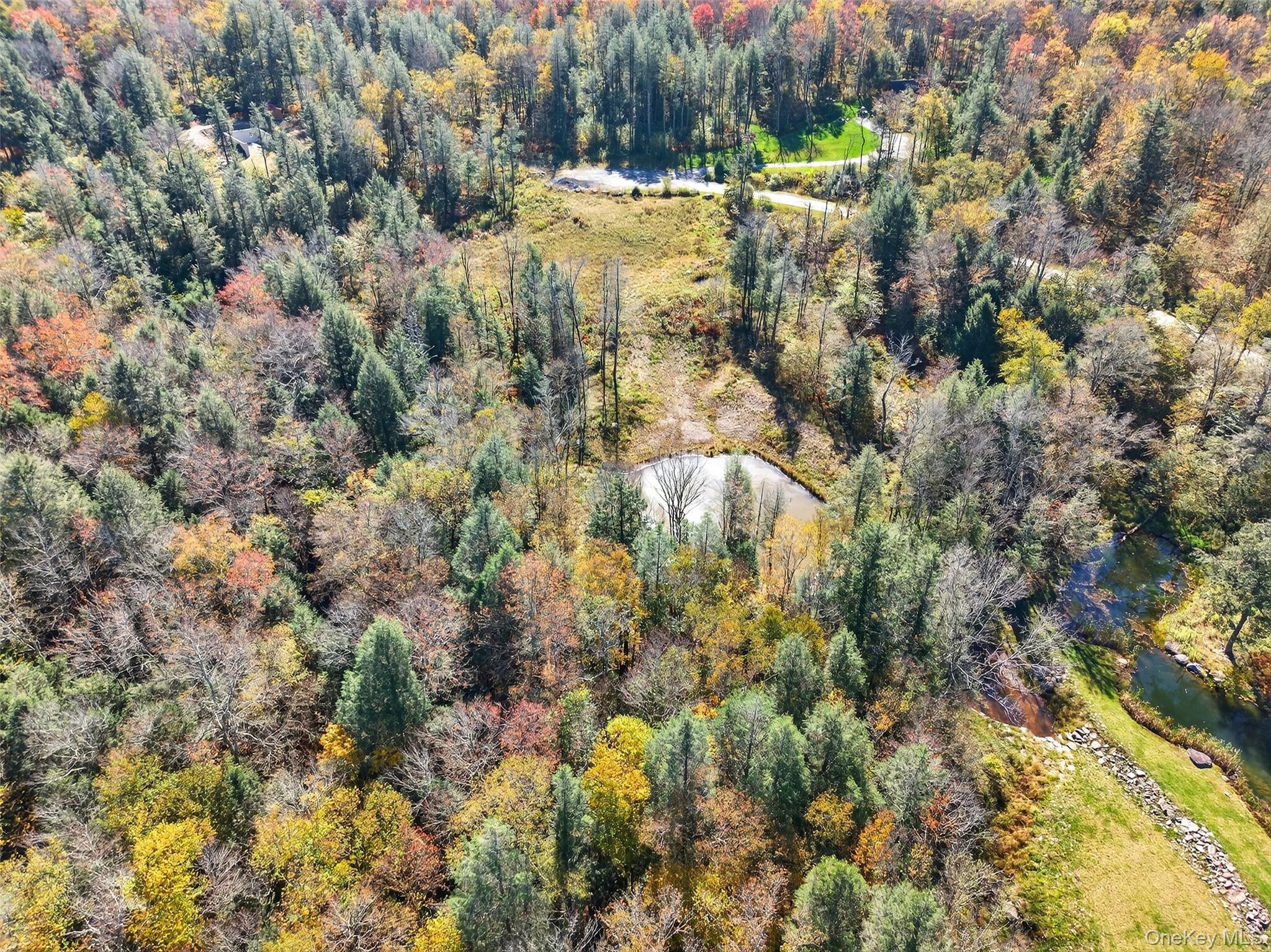 #11 photo, TBD Black Bear Crossing, Parksville , NY 12768