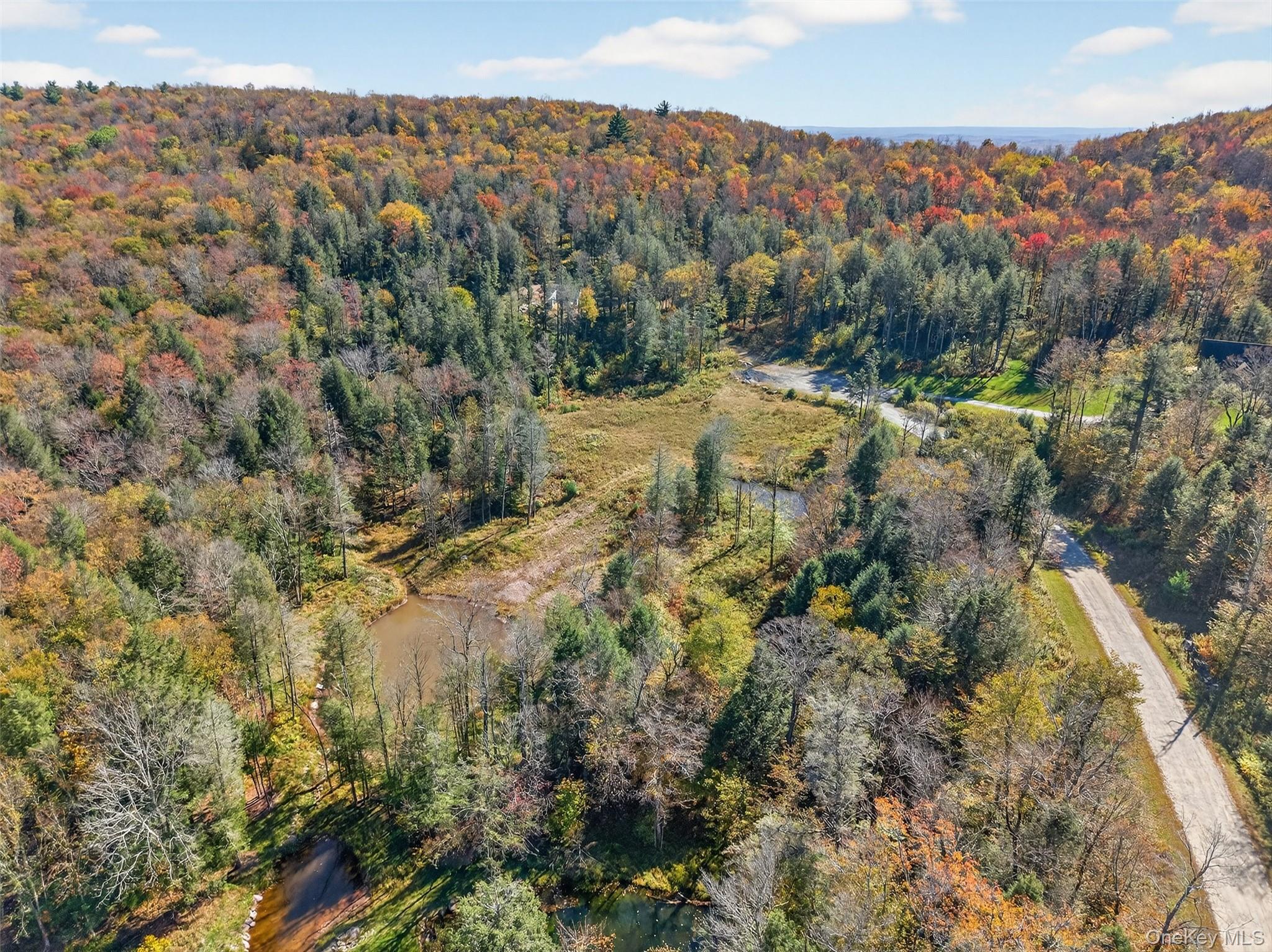 #12 photo, TBD Black Bear Crossing, Parksville , NY 12768