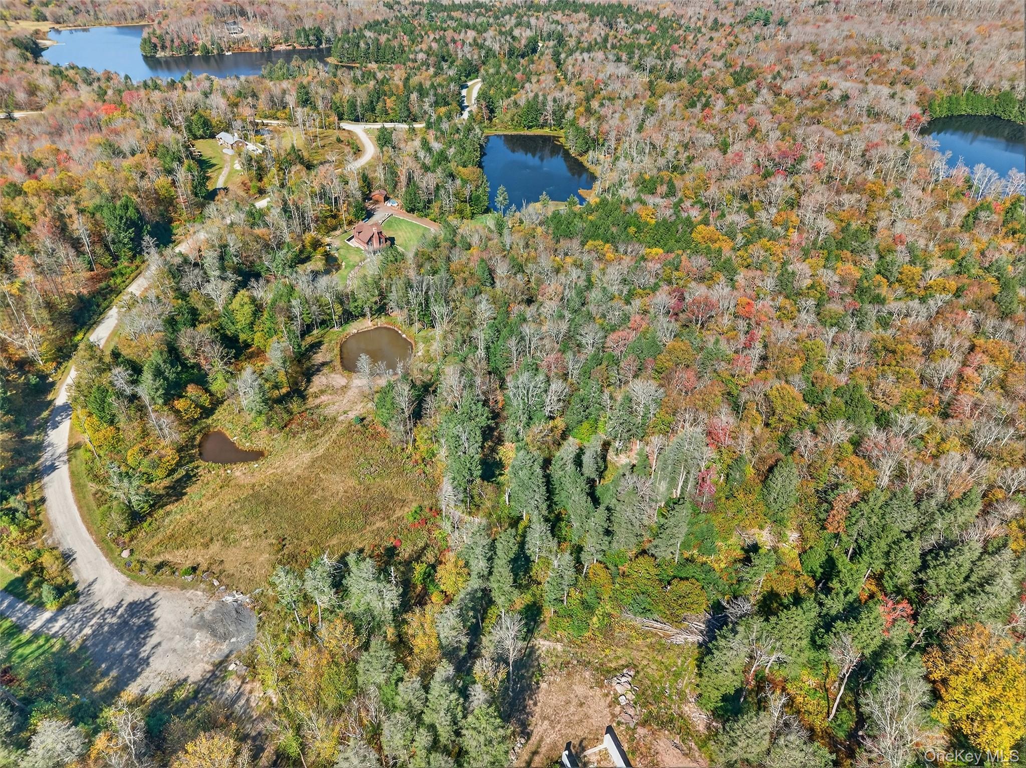 #2 photo, TBD Black Bear Crossing, Parksville , NY 12768