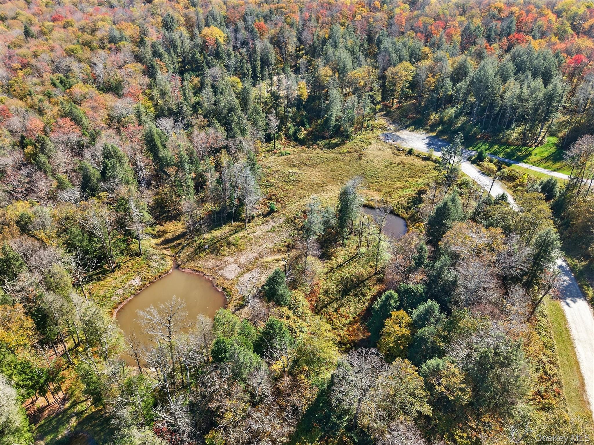 #3 photo, TBD Black Bear Crossing, Parksville , NY 12768