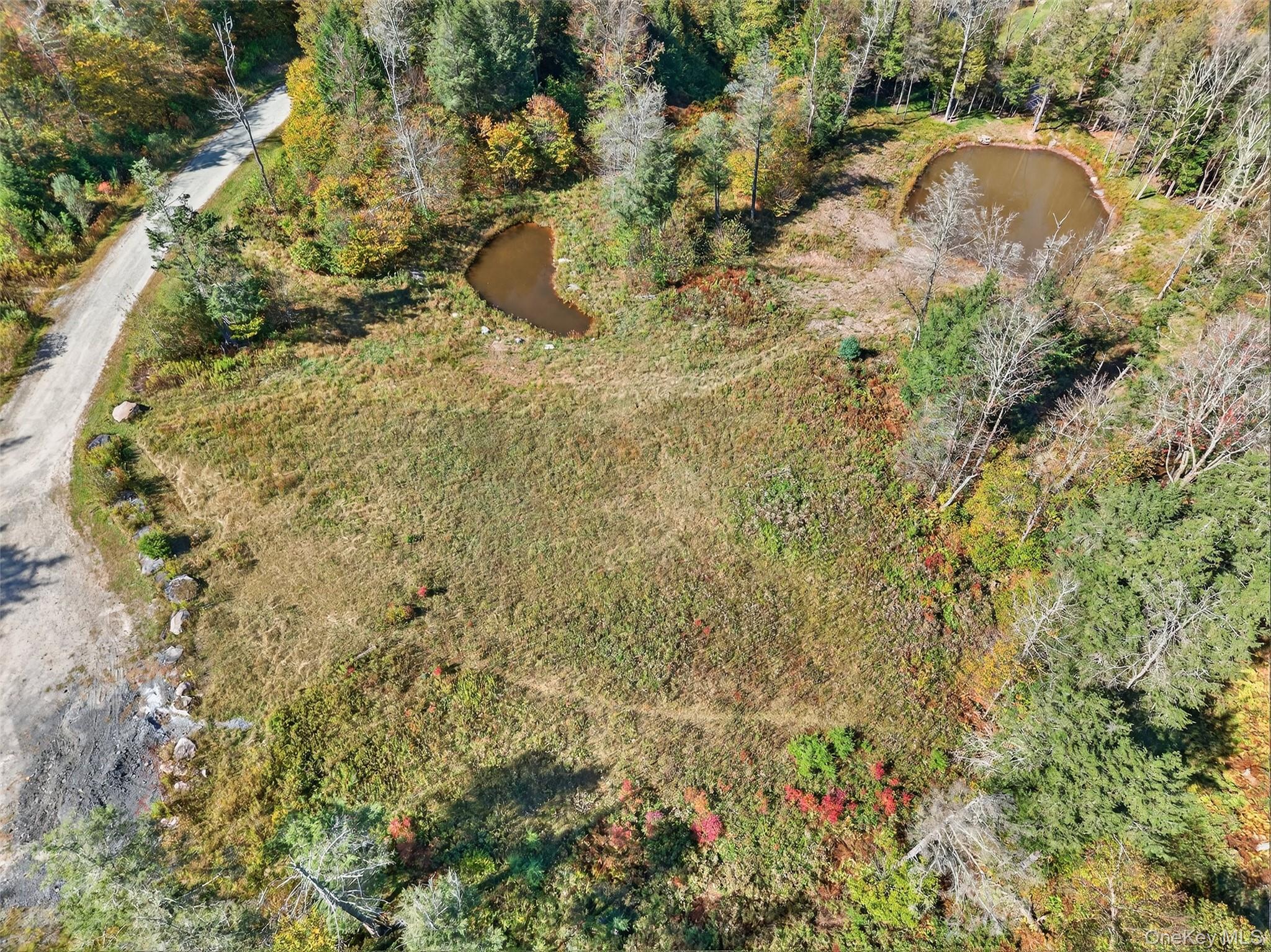 #4 photo, TBD Black Bear Crossing, Parksville , NY 12768