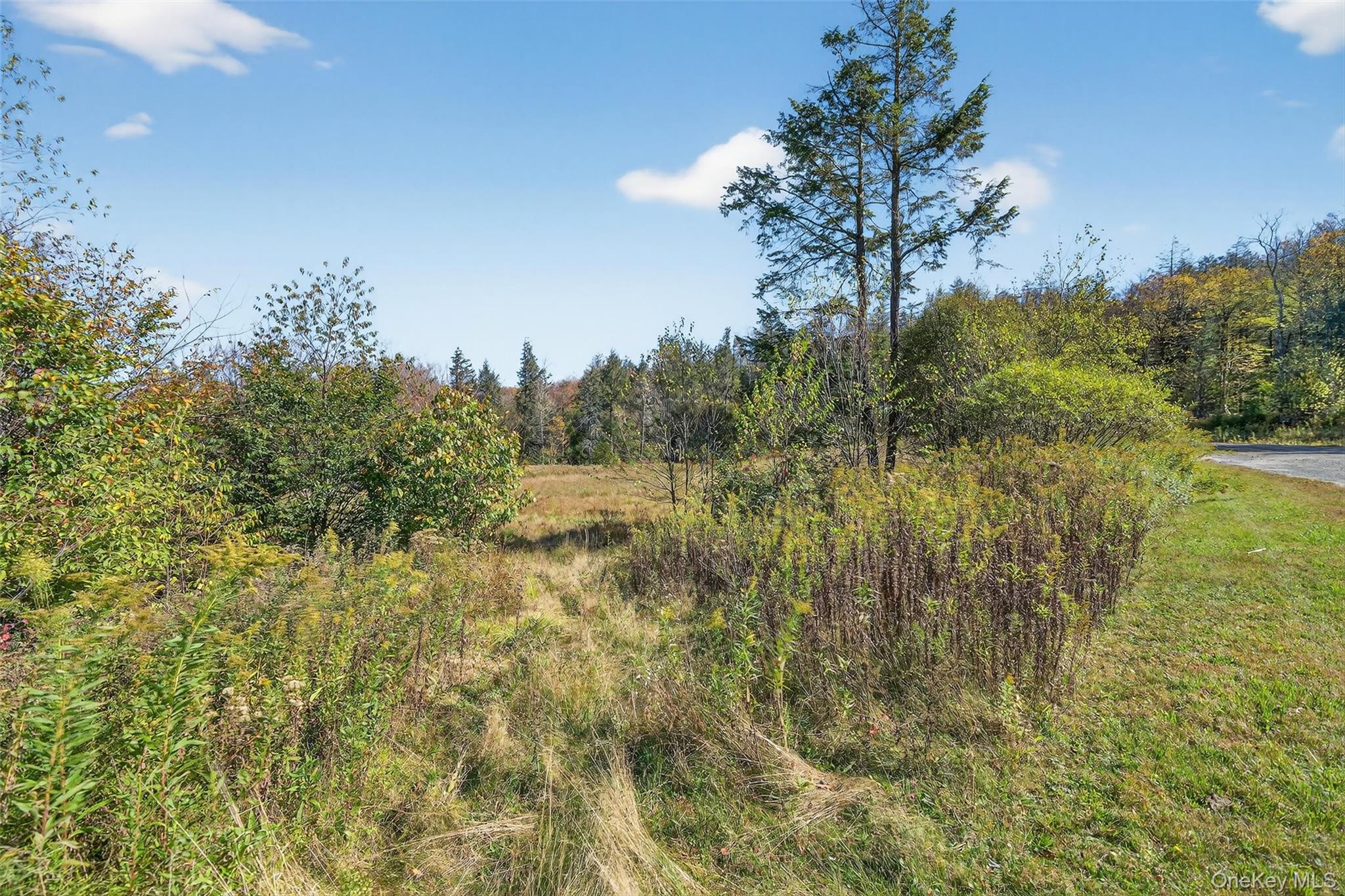 #5 photo, TBD Black Bear Crossing, Parksville , NY 12768