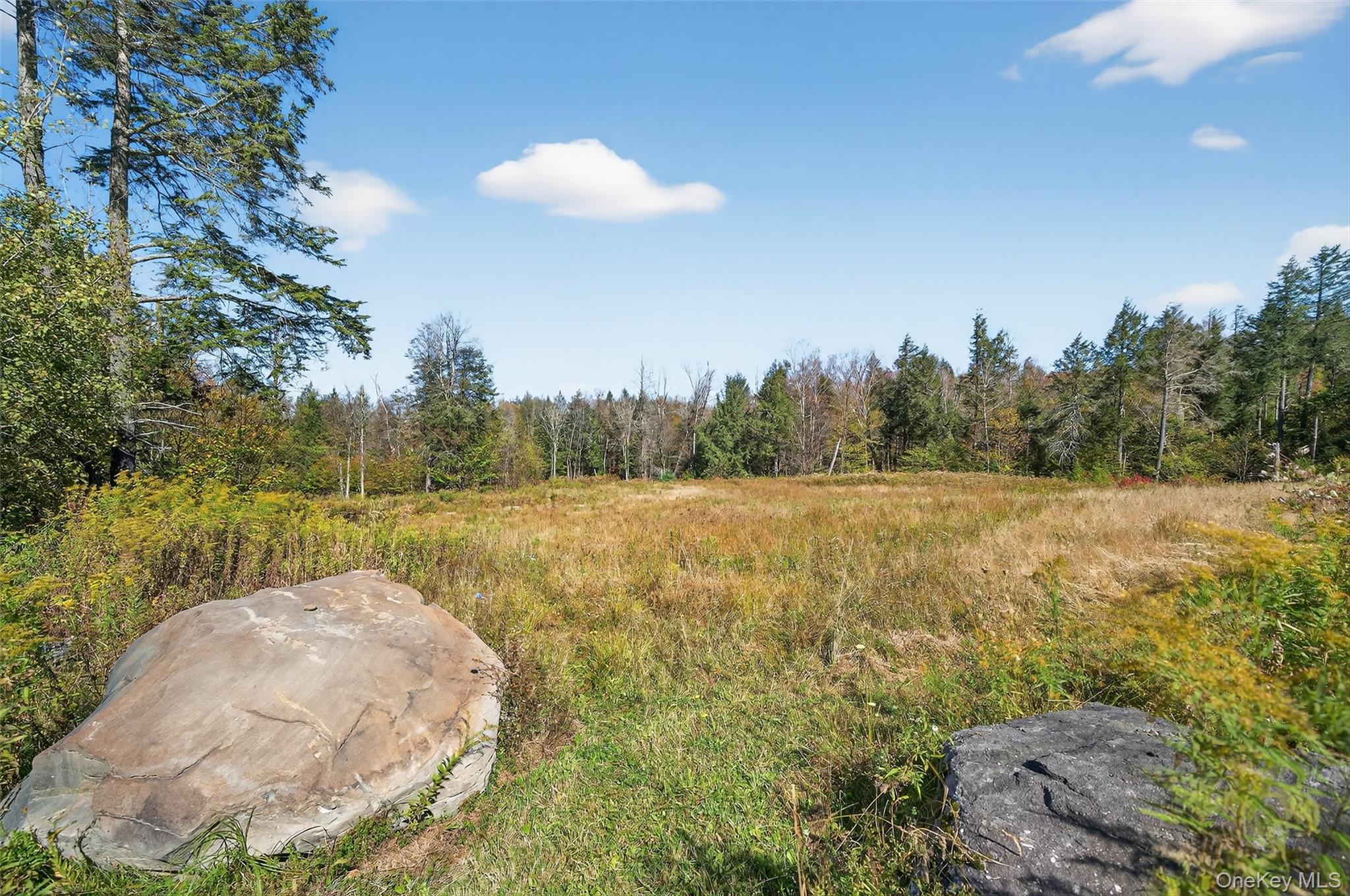 #6 photo, TBD Black Bear Crossing, Parksville , NY 12768