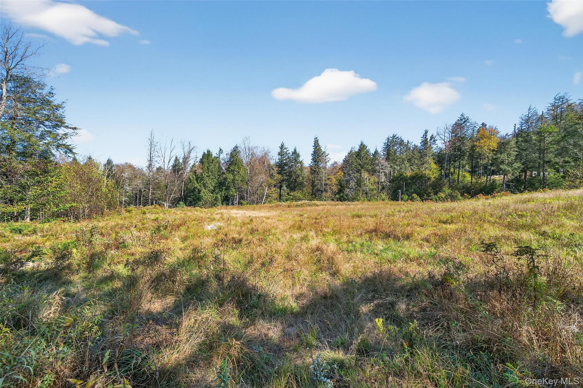 #7 photo, TBD Black Bear Crossing, Parksville , NY 12768