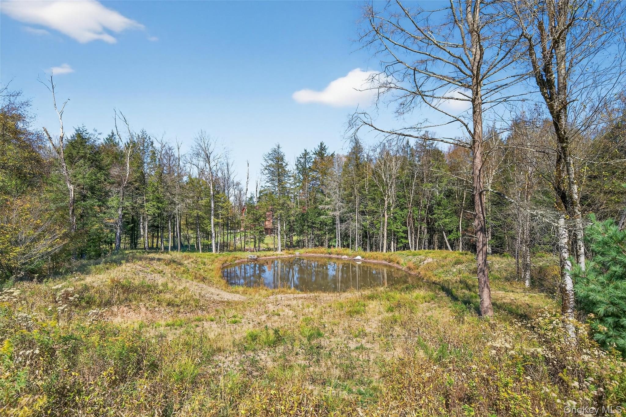 #9 photo, TBD Black Bear Crossing, Parksville , NY 12768