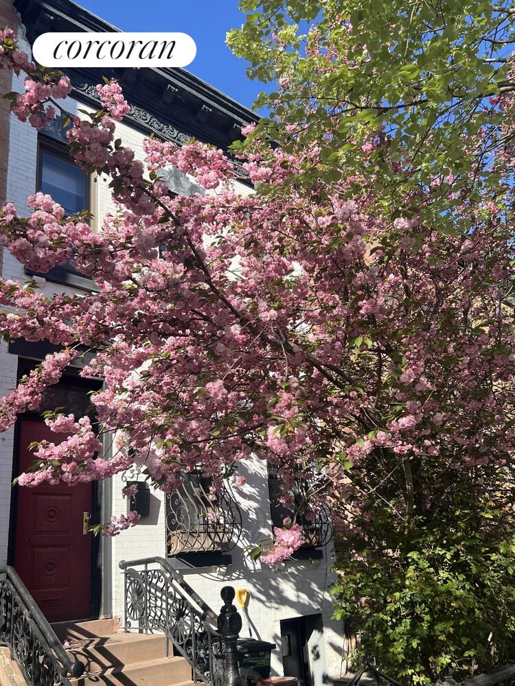 #22 photo, 635 ST JOHNS Place, Crown Heights , NY 11216