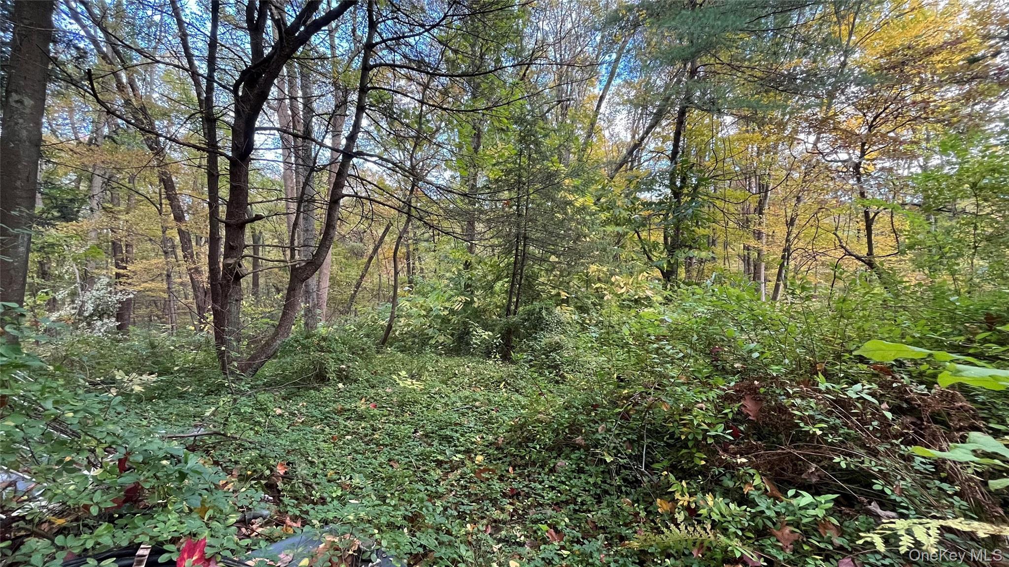 #4 photo, 407 Swartekill Road, Highland , NY 12528