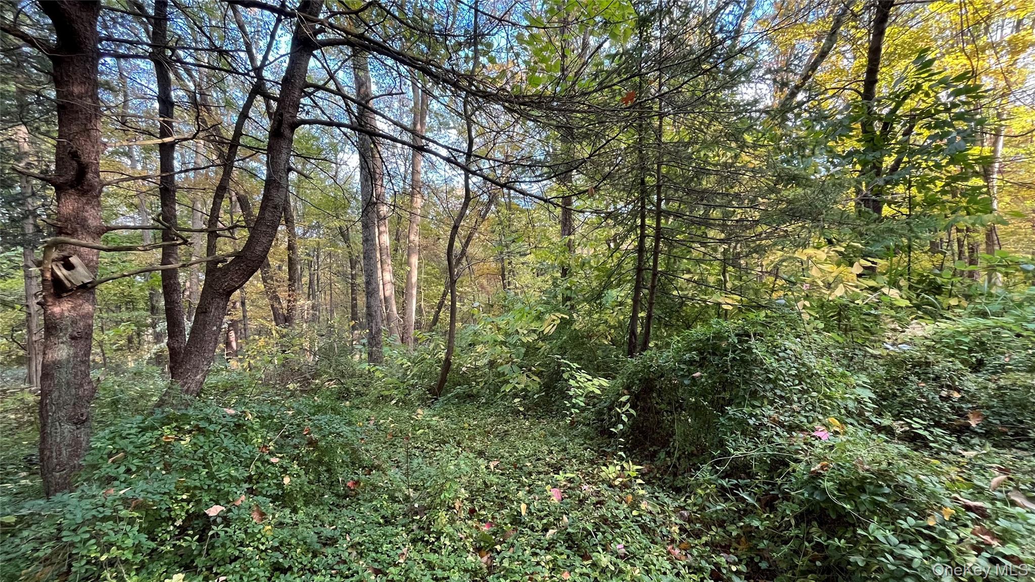 #6 photo, 407 Swartekill Road, Highland , NY 12528