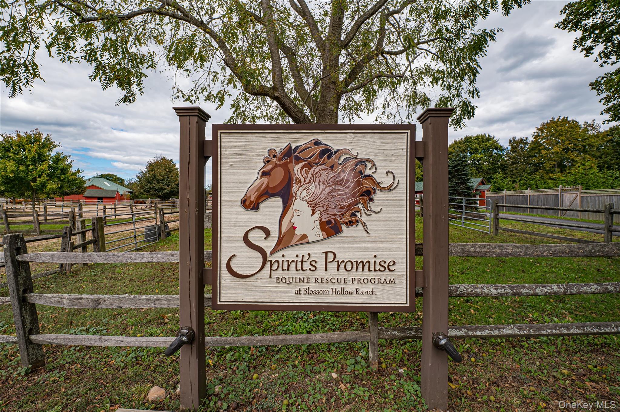 #18 photo, 2746 Sound Avenue, サフォーク郡 Riverhead , NY 11901