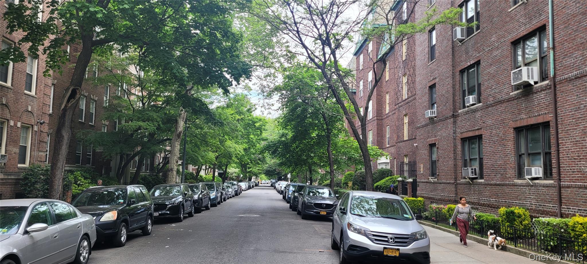 #6 photo, 8009 35th Ave Avenue, クイーンズ区 Jackson Heights , NY 11372