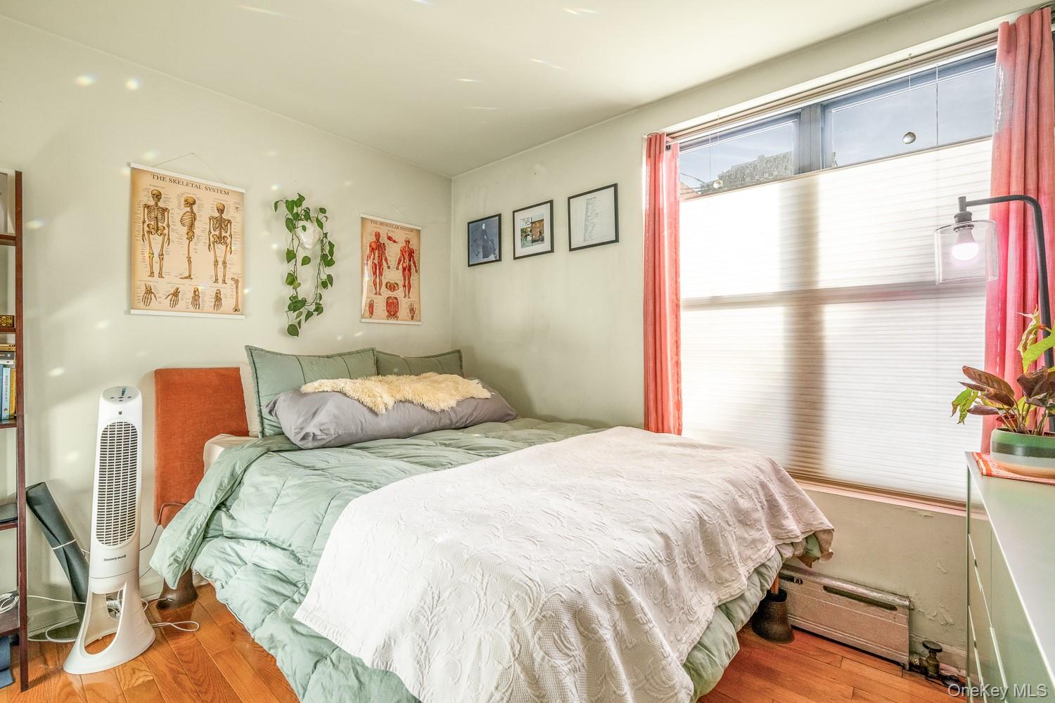 #15 photo, 3414 33rd Street, クイーンズ区 Astoria , NY 11106