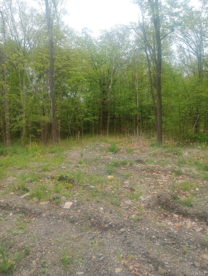 #3 photo, Myers RD. Westtown, NY 10 Myers Road, Westtown , NY 10998