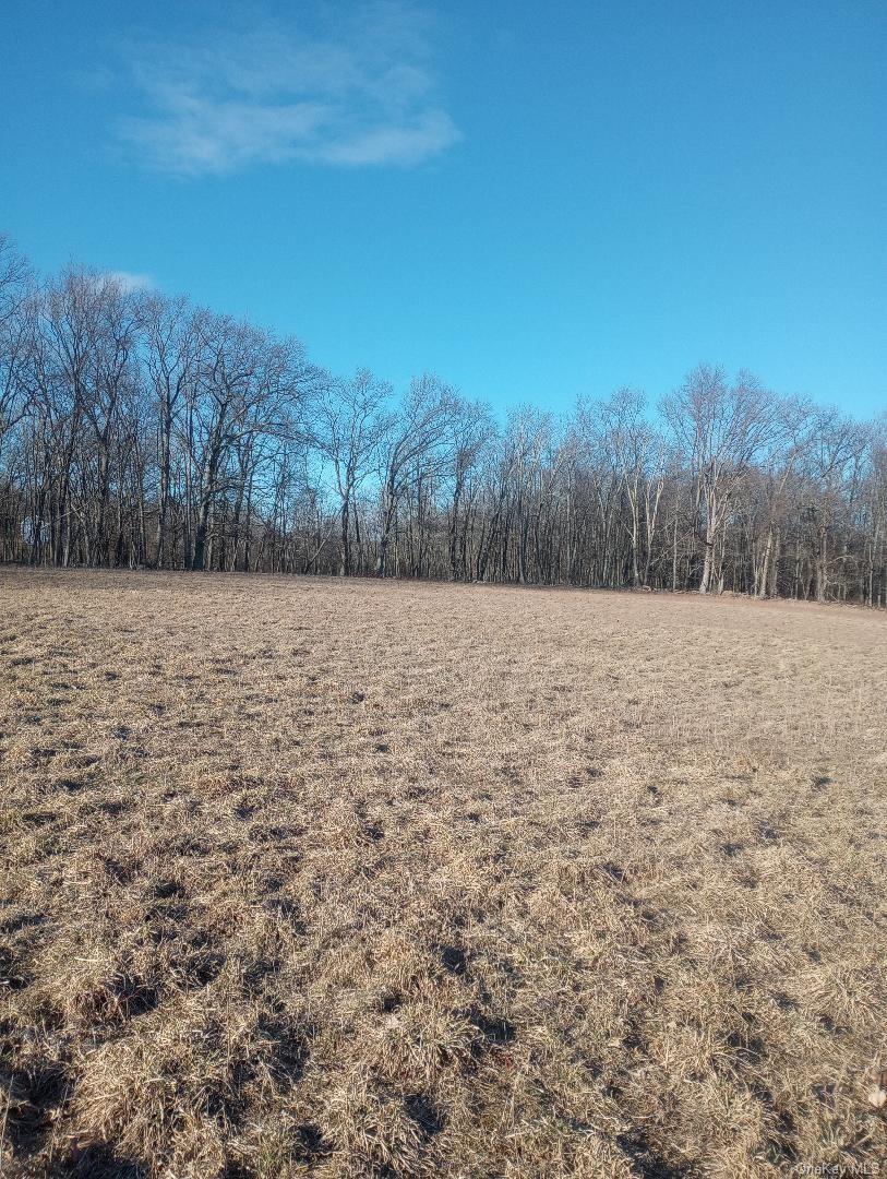 #4 photo, Myers RD. Westtown, NY 10 Myers Road, Westtown , NY 10998