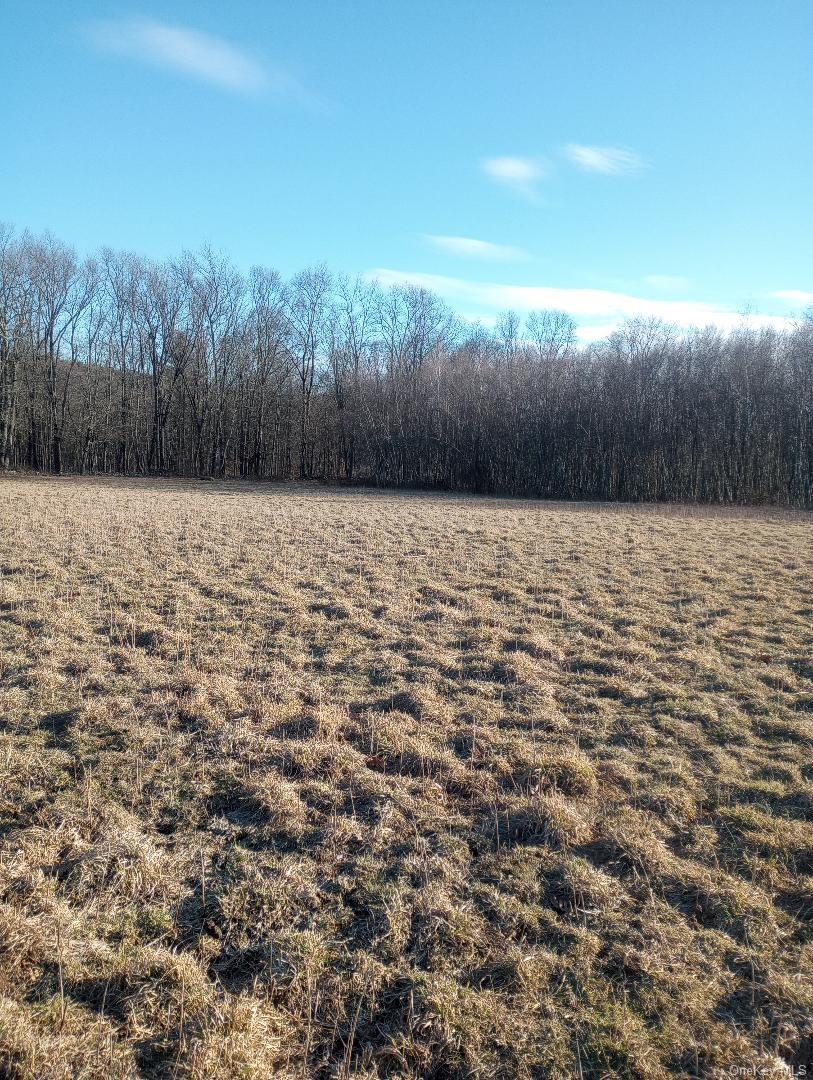 #5 photo, Myers RD. Westtown, NY 10 Myers Road, Westtown , NY 10998