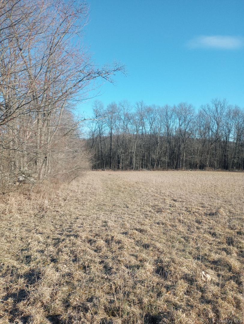 #7 photo, Myers RD. Westtown, NY 10 Myers Road, Westtown , NY 10998