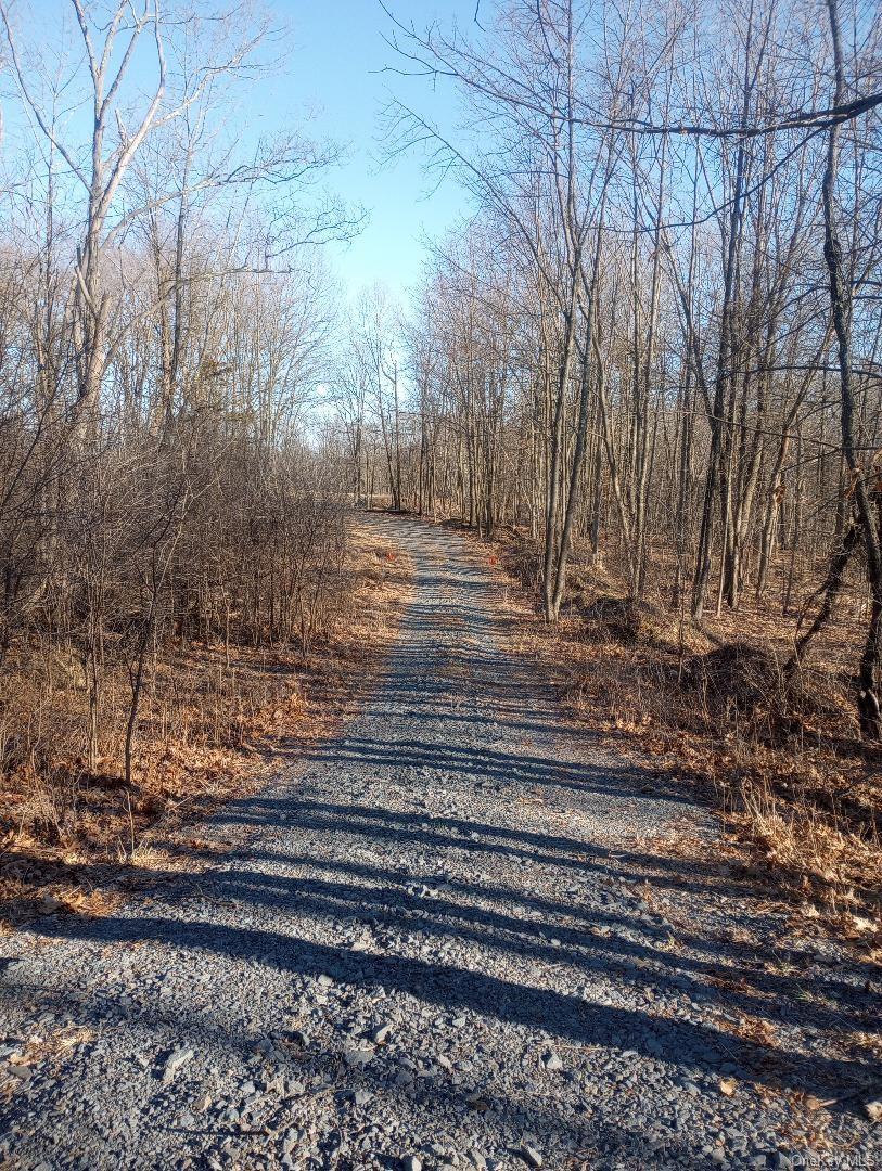 #8 photo, Myers RD. Westtown, NY 10 Myers Road, Westtown , NY 10998