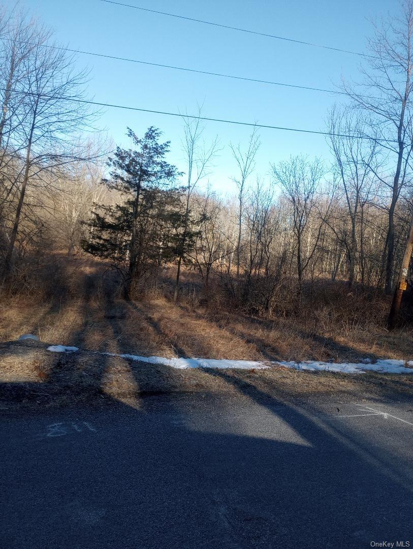 #9 photo, Myers RD. Westtown, NY 10 Myers Road, Westtown , NY 10998