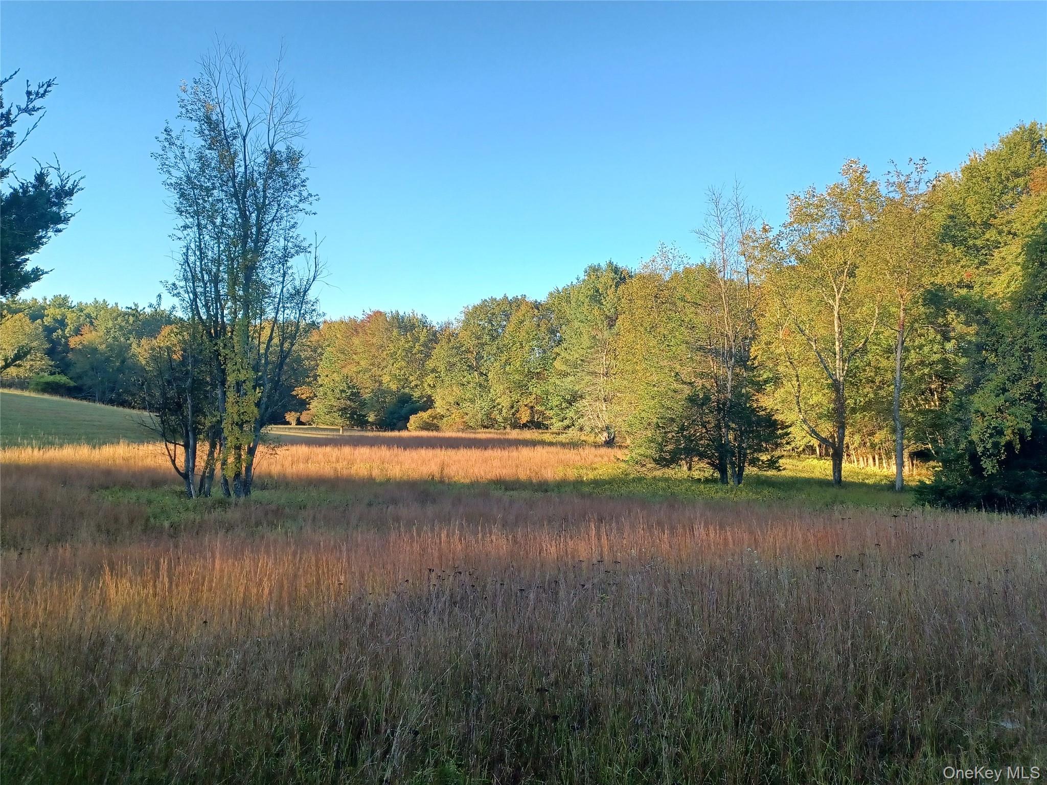 #2 photo, TBD Whitlock Road, Otisville , NY 10963