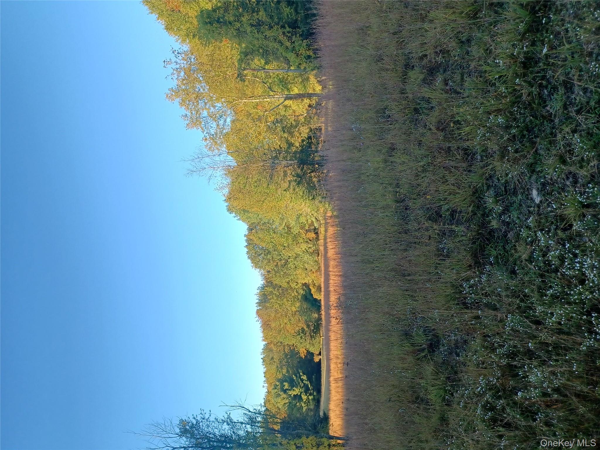 #5 photo, TBD Whitlock Road, Otisville , NY 10963