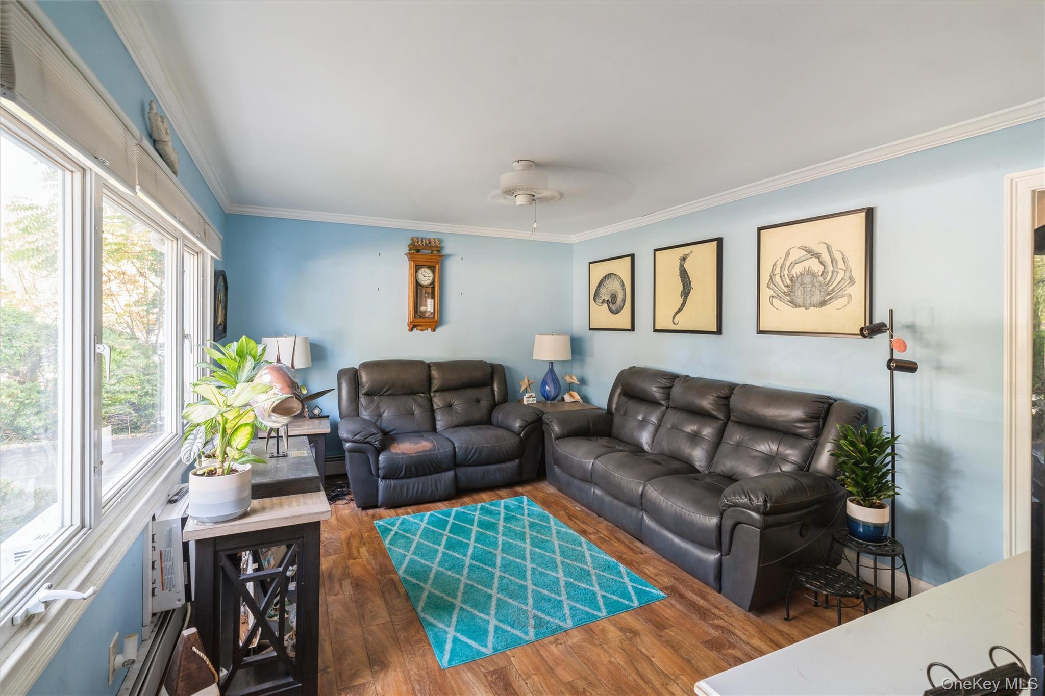 #5 photo, 86 Ackerly Lane, サフォーク郡 Ronkonkoma , NY 11779