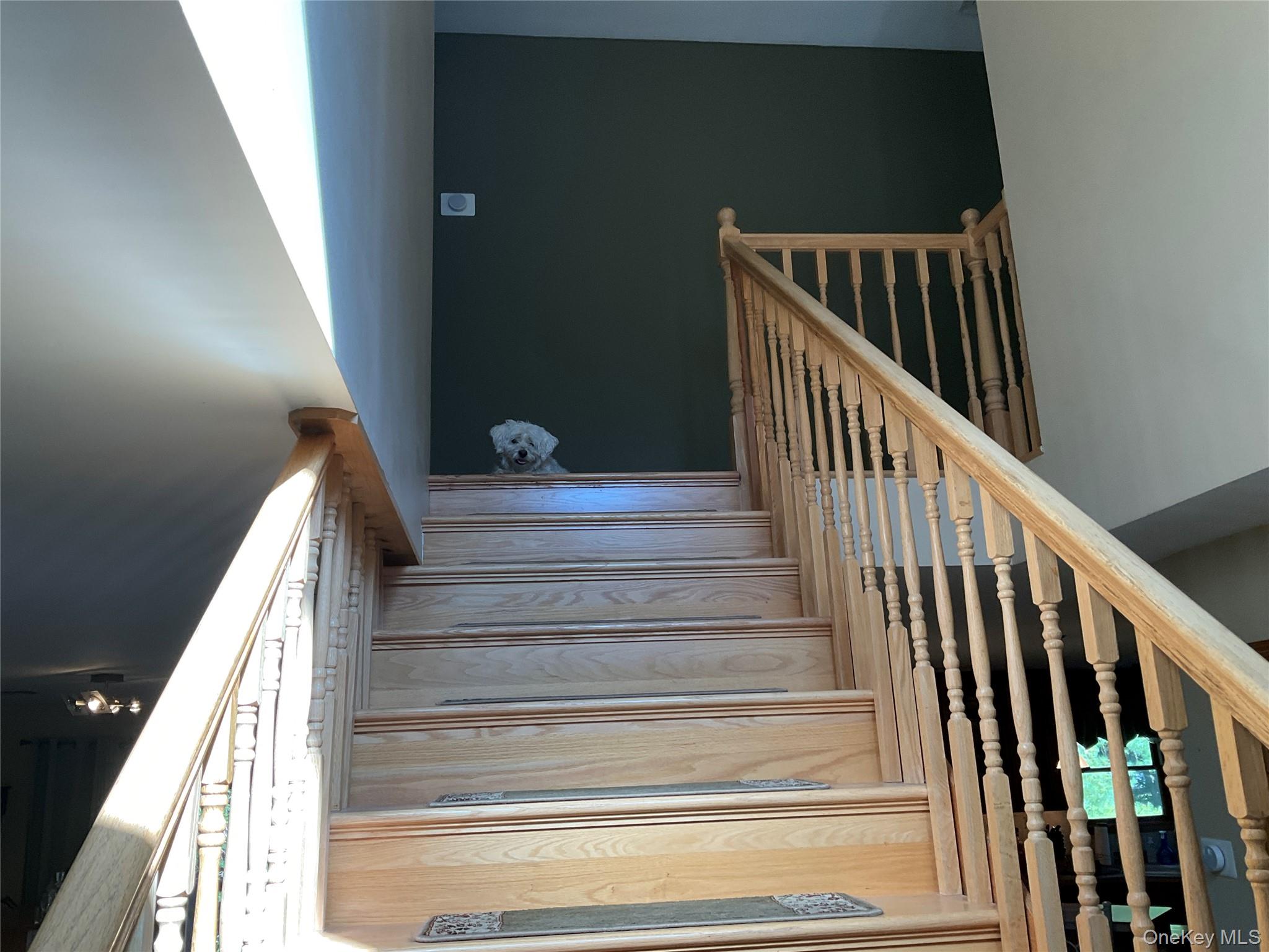 #20 photo, 104 Meadow Court Meadow Court, Call Listing Agent , PA 18337