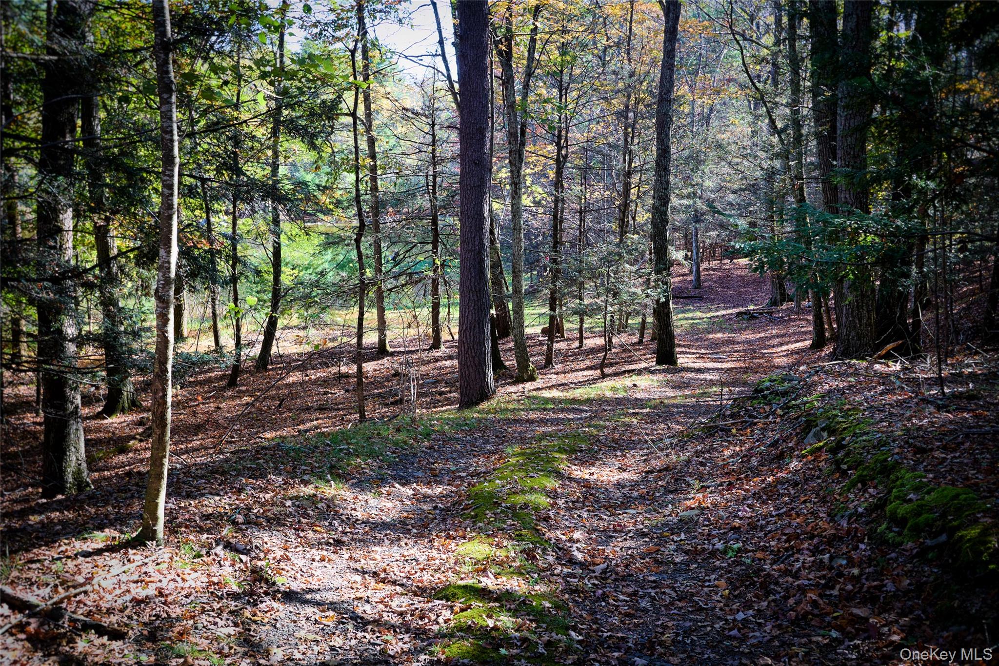 #10 photo, O Band Camp Road, Saugerties , NY 12477