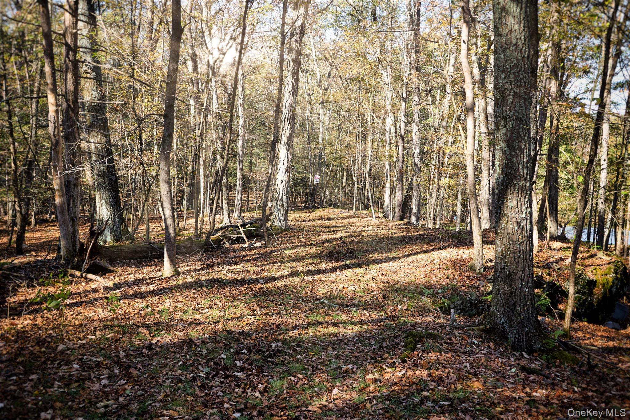 #6 photo, O Band Camp Road, Saugerties , NY 12477