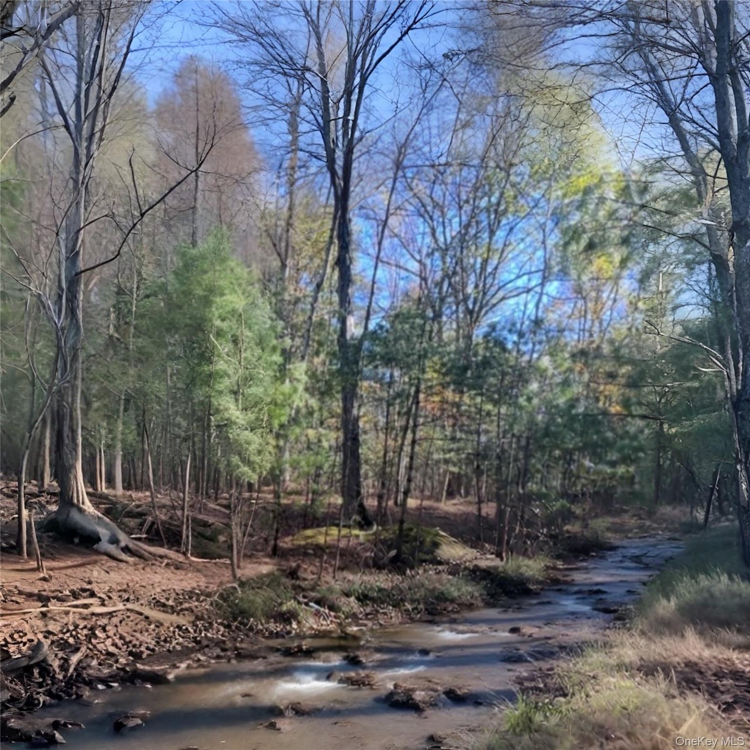 #7 photo, O Band Camp Road, Saugerties , NY 12477