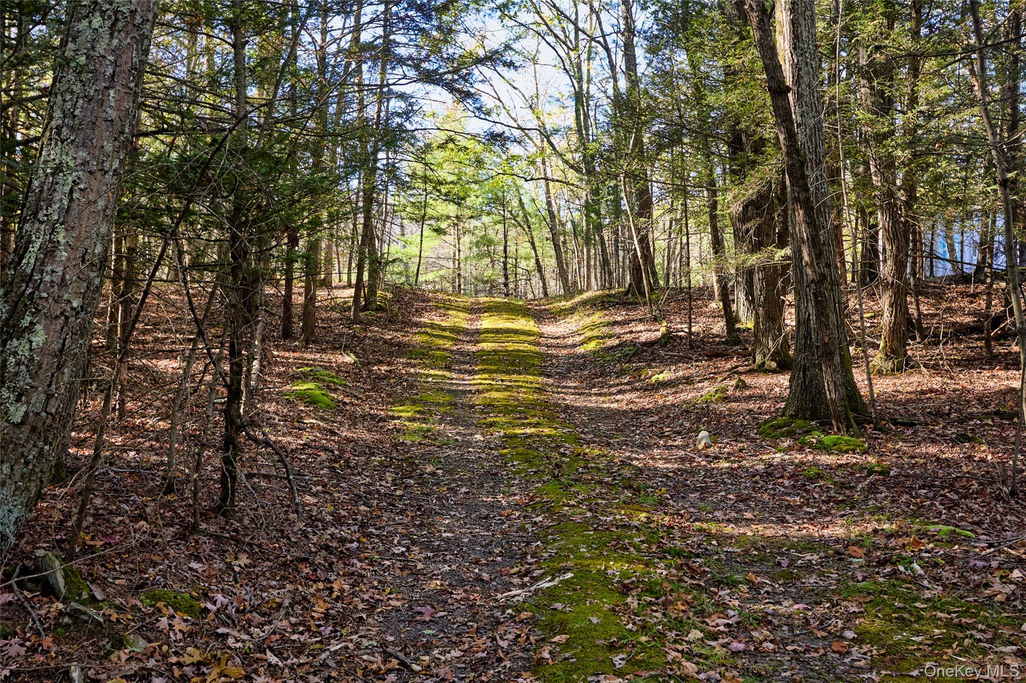 #9 photo, O Band Camp Road, Saugerties , NY 12477