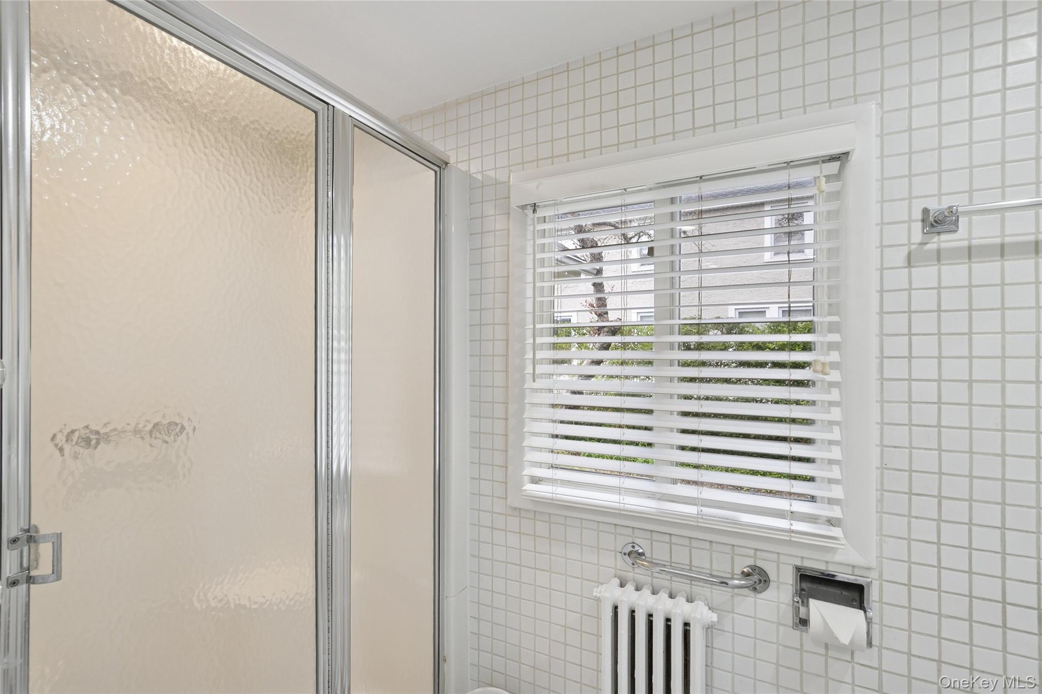 #15 photo, 151 Steamboat Road, ナッソー郡 Great Neck , NY 11024