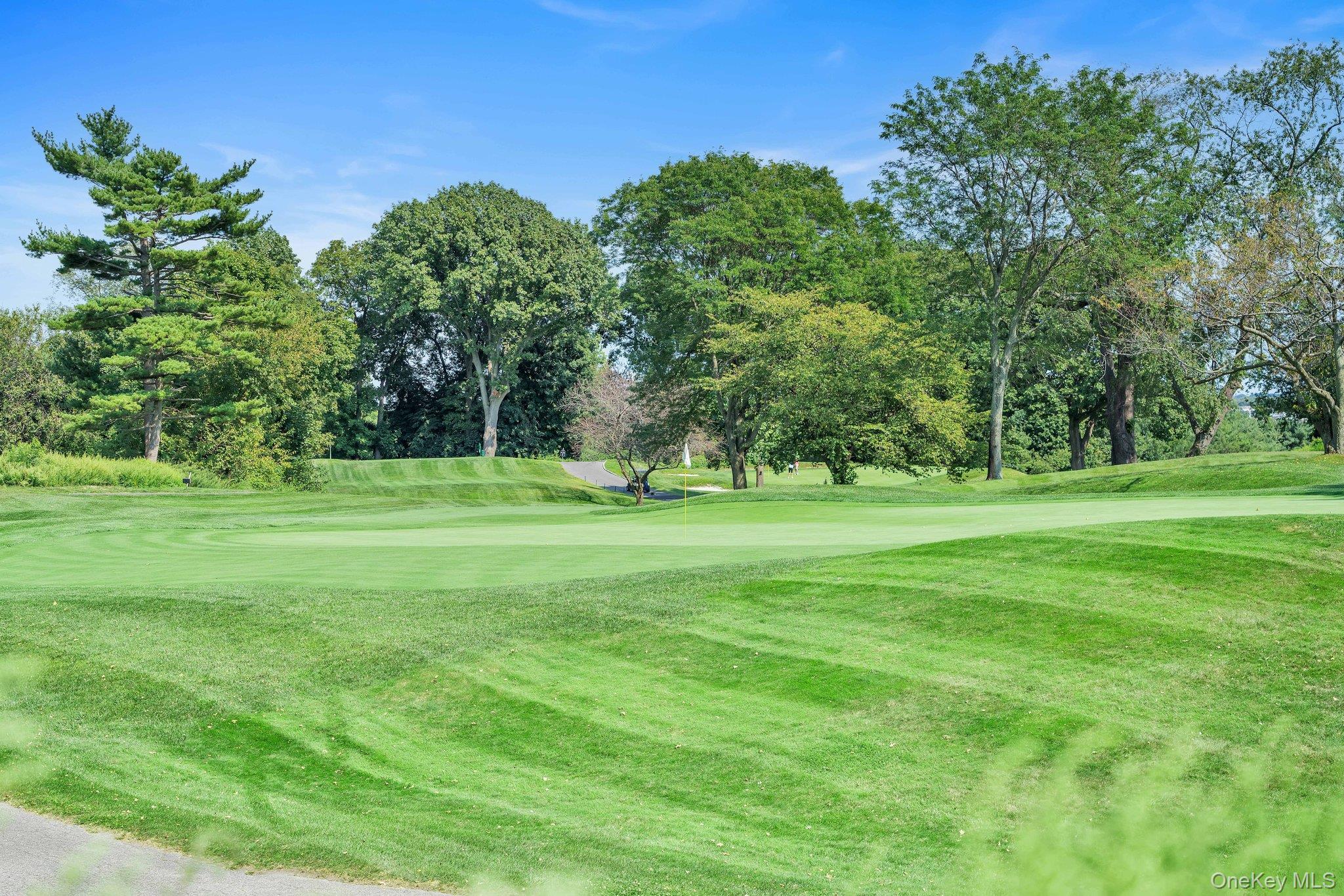 #17 photo, 27010 Grand Central Parkway, クイーンズ区 Floral Park , NY 11005