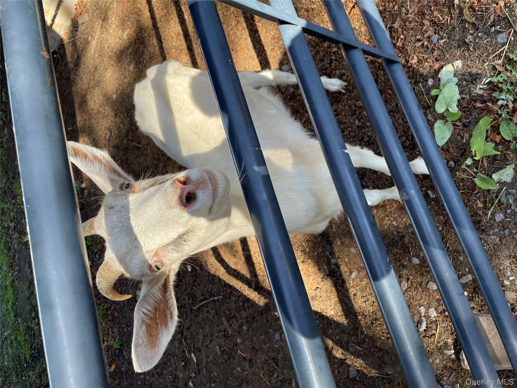 #8 photo, 121-135 Sportsman Road, Napanoch , NY 12458