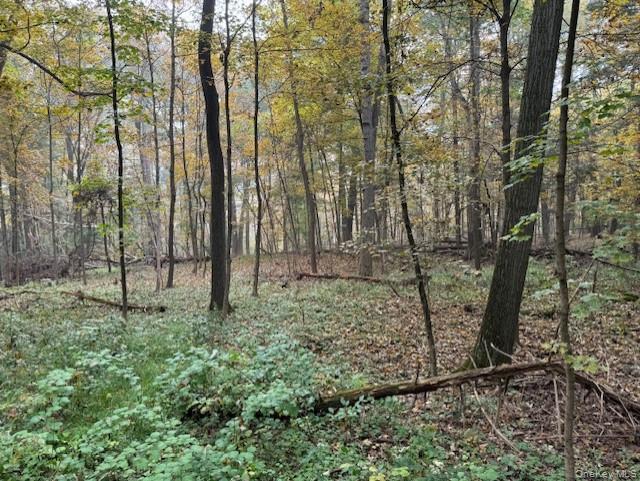 #3 photo, 240 Boardman Road, Poughkeepsie , NY 12603