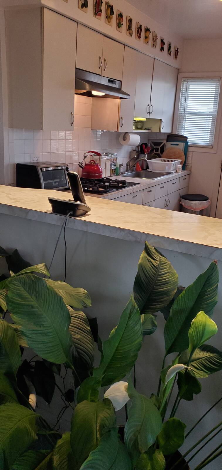 #20 photo, 5-68 Beach 66 St, クイーンズ区 Far Rockaway , NY 11692