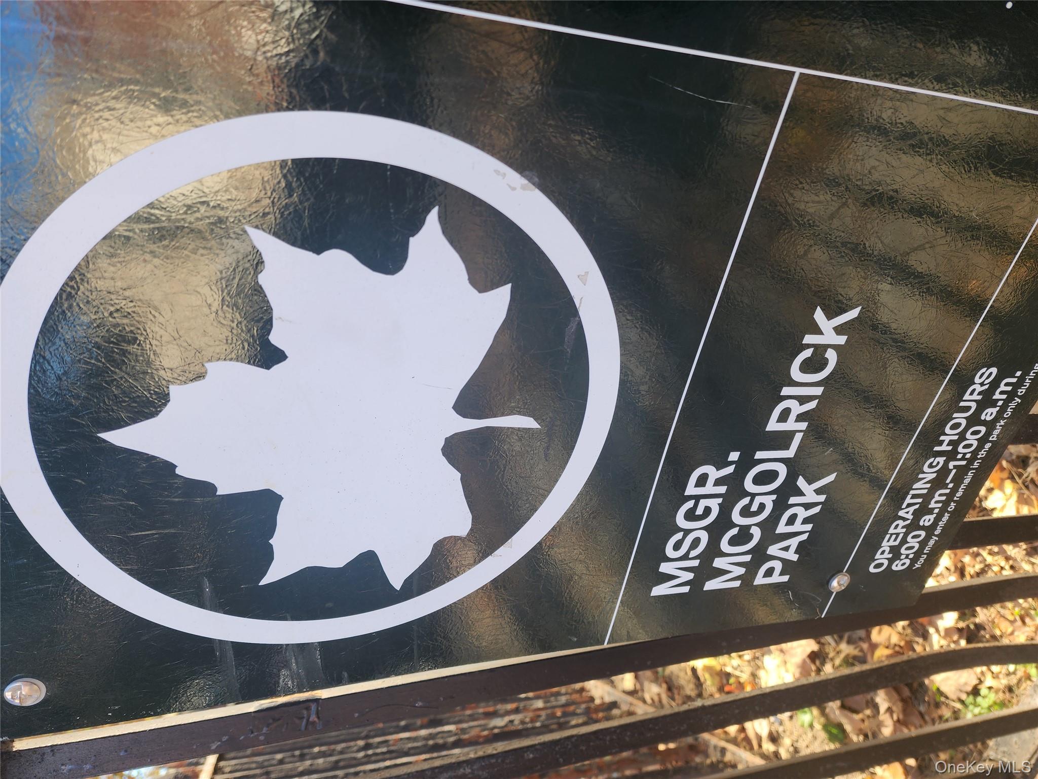 #18 photo, 229 Monitor Street, Brooklyn , NY 11222