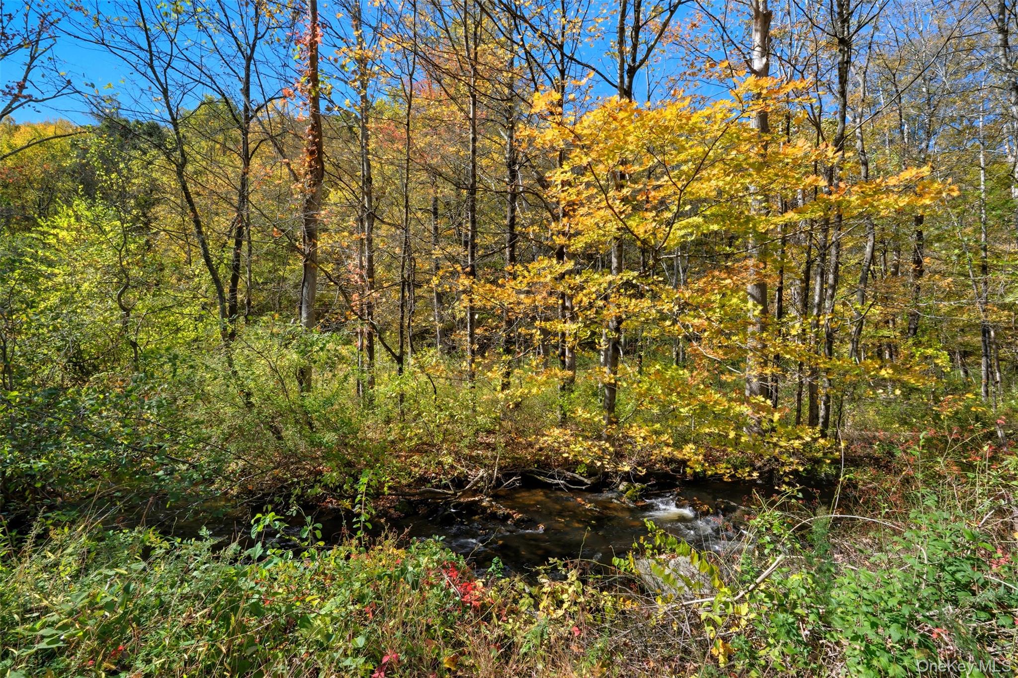 #14 photo, Wiccopee Road, Putnam Valley , NY 10579