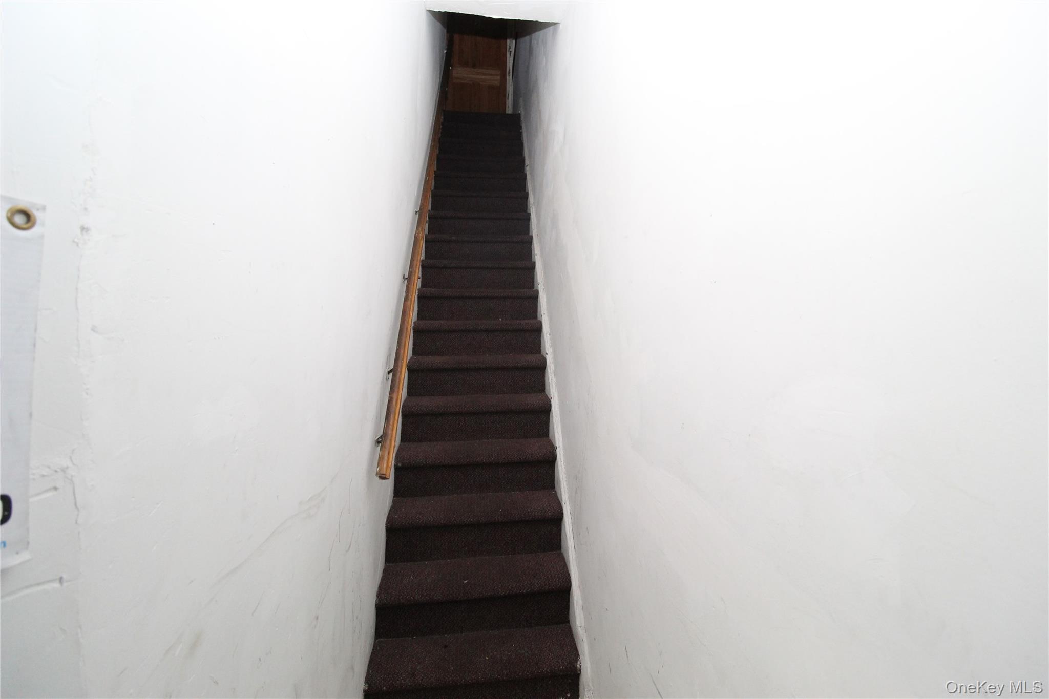 #16 photo, 211-77 Jamaica Avenue, クイーンズ区 Jamaica , NY 11428