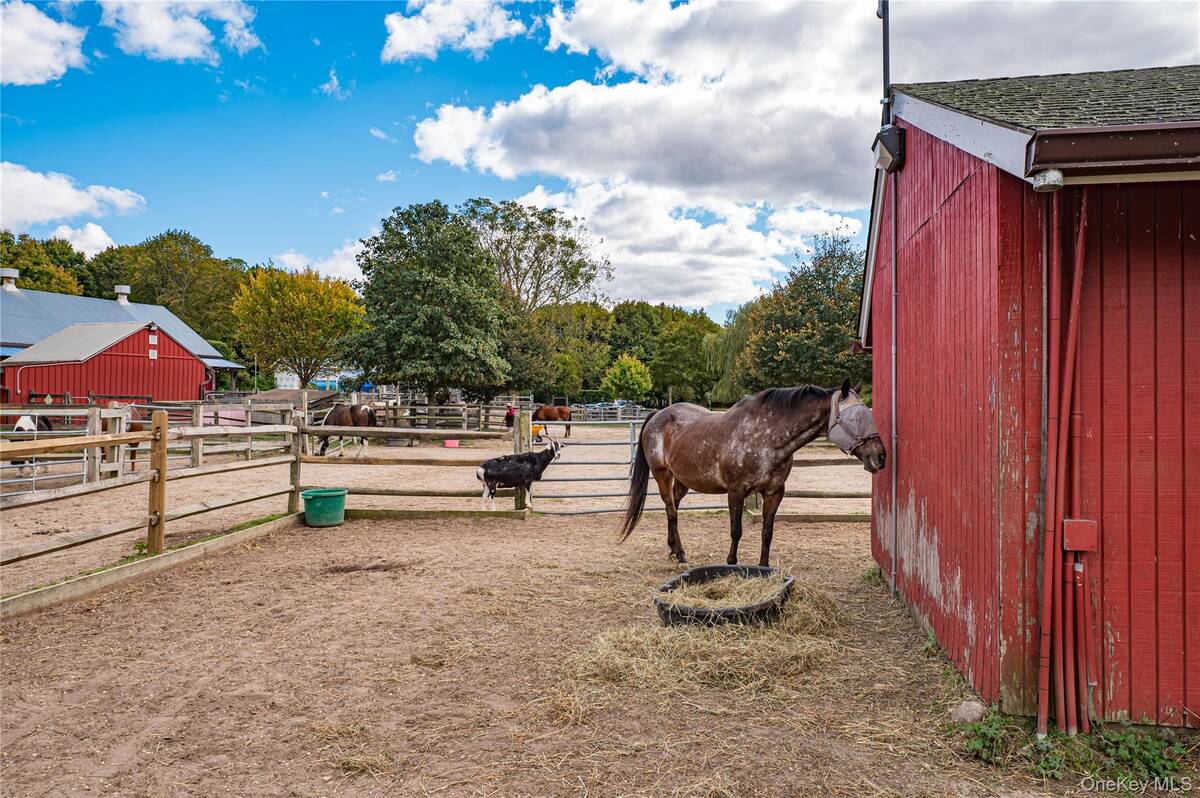 #32 photo, 2746 Sound Avenue, サフォーク郡 Riverhead , NY 11901