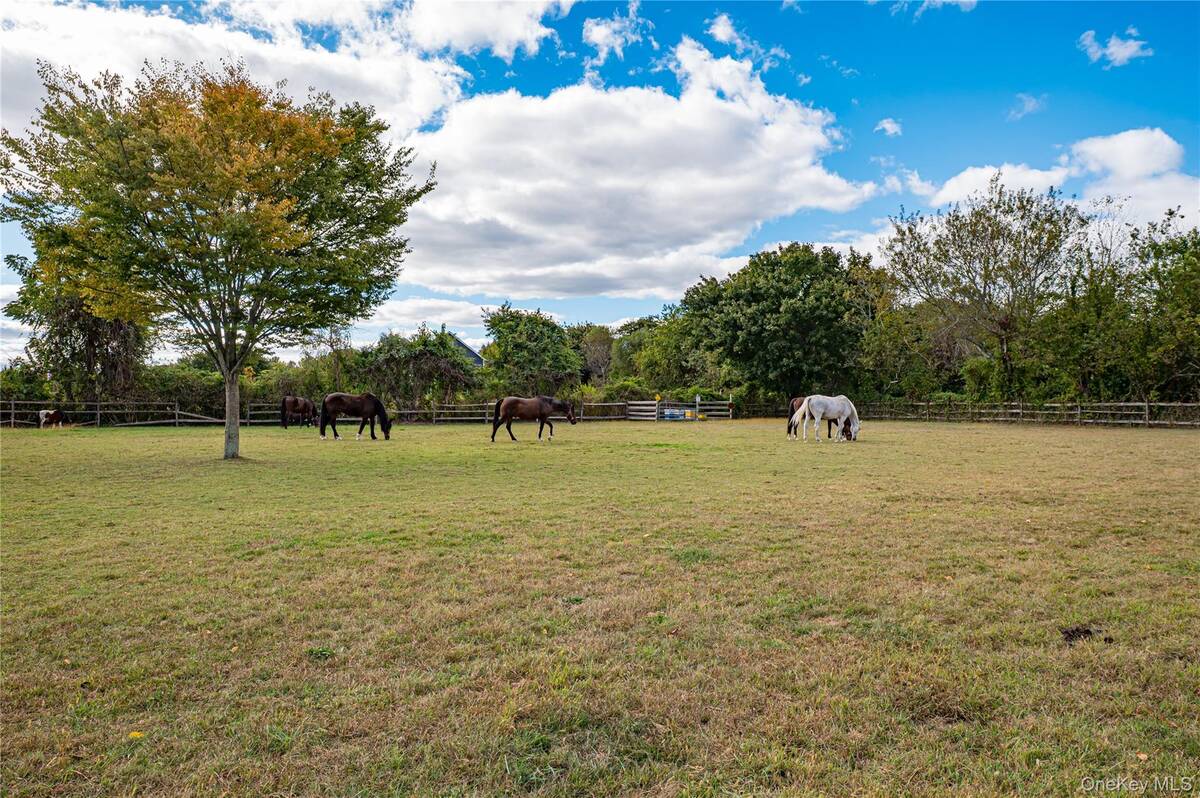 #34 photo, 2746 Sound Avenue, サフォーク郡 Riverhead , NY 11901